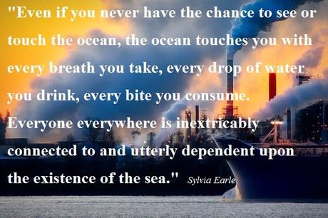 Inspirational Quotes About Climate Change Sylvia Earle Quotes