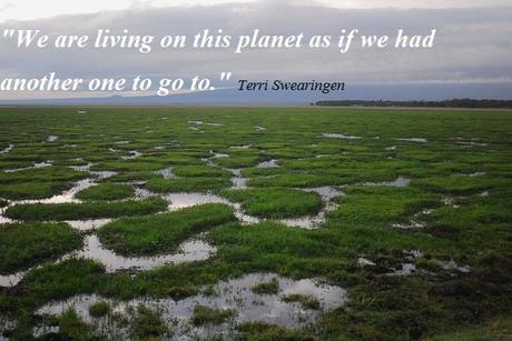 Inspirational Quotes About Climate Change Terri Swearingen Quotes