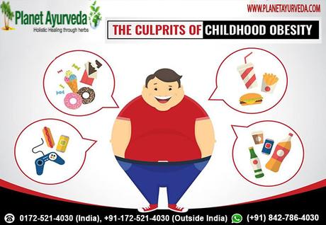 How Does Obesity Affect the Body?-Planet Ayurveda