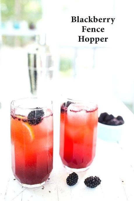 summertime vodka drinks summer low calorie blackberry fence hopper a cocktail