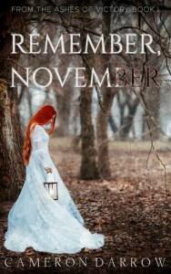 Meagan Kimberly reviews Remember, November by Cameron Darrow