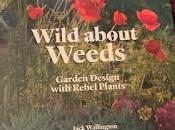 Book Review: Wild About Weeds, Garden Design with Rebel Plants Jack Wallington