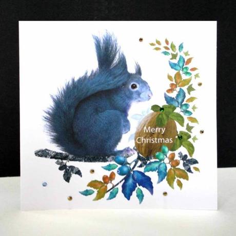 Grey Squirrel at Christmas Card