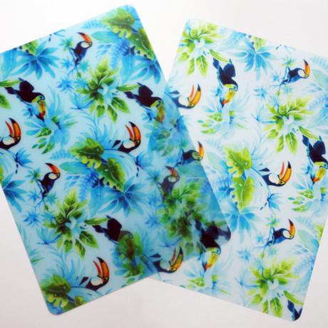 Two Tropically Toucan Plastic Placemats