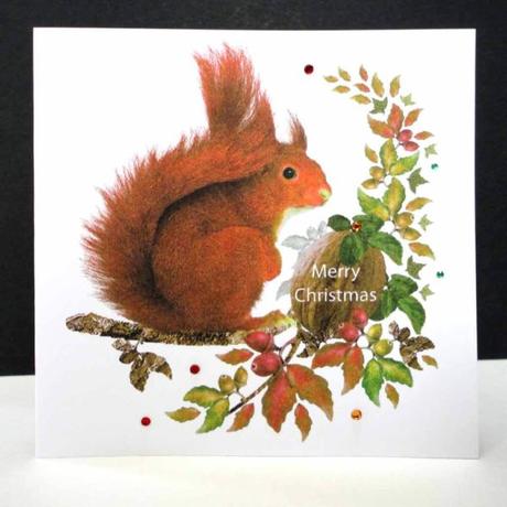 Red Squirrel at Christmas Card