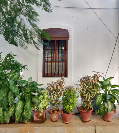 Photoessay: The multifaceted streetscapes of Pondicherry