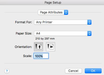 Printer Page Set Up WidsMob Viewer Pro