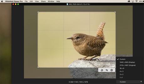 Image Crop WidsMob Viewer Pro