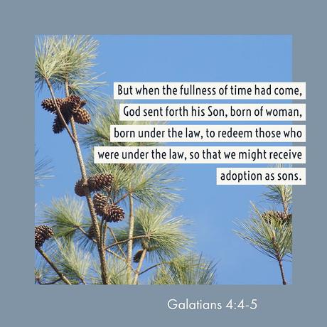 Thirty Days of Jesus Repeat: Day 3, Adoption