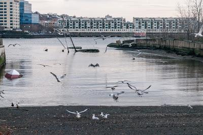 From yesterday's shoot, the (honeyed) glow of a gloomy day [El Greco in Toledo]