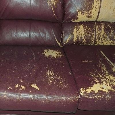 split leather sofa repair a look at the bi cast controversy blog