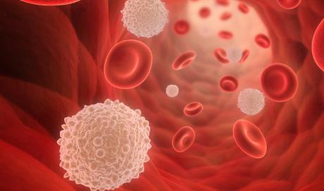 What are Cd4 cells? How is Ayurveda useful for increasing CD4 levels?