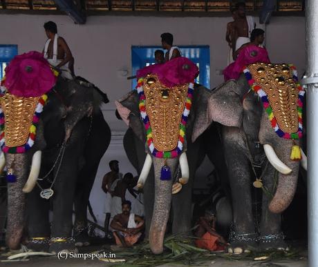 bonding of mahouts and elephants at Thiruppunithura