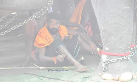 bonding of mahouts and elephants at Thiruppunithura