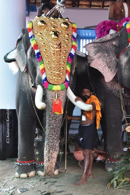bonding of mahouts and elephants at Thiruppunithura