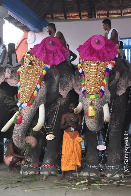 bonding of mahouts and elephants at Thiruppunithura
