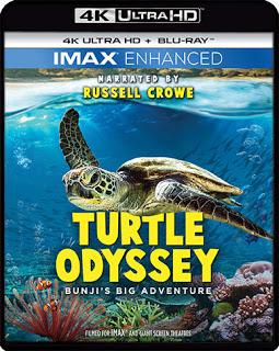 New on IMAX Enhanced 4K Ultra UHD, Blu-Ray and DVD ~ Turtle Odyssey: Bunji's Big Adventure!