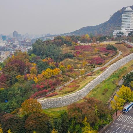 Millennium Hilton Seoul Review – A Business Hotel in South Korea