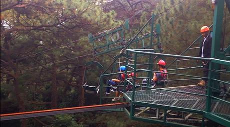 Canopy ride