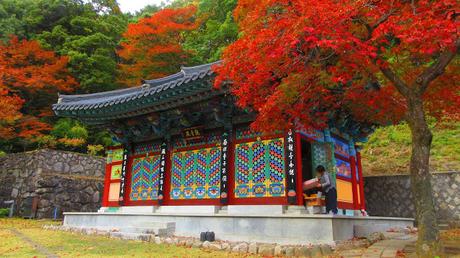 Travel Guide Budget and Itinerary for Daegu, Korea