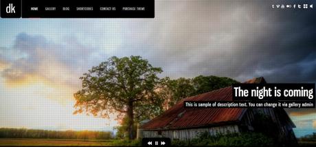 Best 59 Photography WordPress Themes Of 2020 dk photography