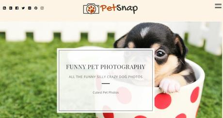 Best 59 Photography WordPress Themes Of 2020 PetSnap pet photography theme