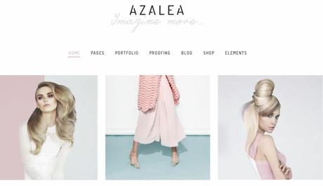 Best 59 Photography WordPress Themes Of 2020 azalea photography theme