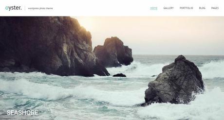 Best 59 Photography WordPress Themes Of 2020 oyster