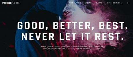 Best 59 Photography WordPress Themes Of 2020 PhotoProof WordPress theme for photographer