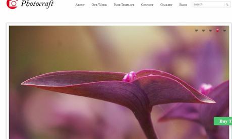Best 59 Photography WordPress Themes Of 2020 photocraft