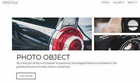 Best 59 Photography WordPress Themes Of 2020 Foto
