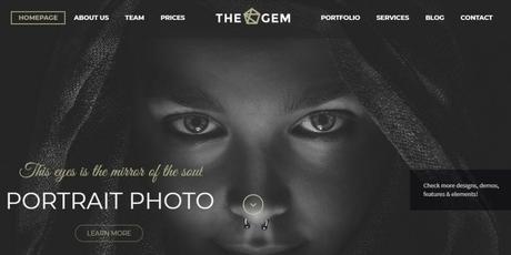 Best 59 Photography WordPress Themes Of 2020 the gem theme