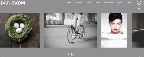 Best 59 Photography WordPress Themes Of 2020 photography portfolio wordpress theme
