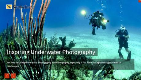 Best 59 Photography WordPress Themes Of 2020 Underwater Photography WordPress Theme