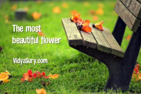 The Most Beautiful Flower – An Inspiring Poem