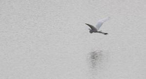 POEM: Skipping Stones