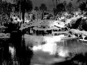 Hopekiller Children Dead Future