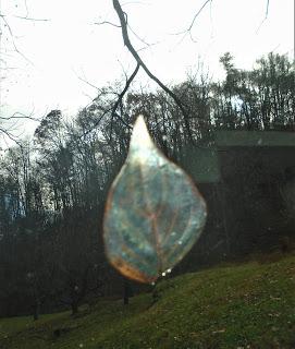 A Leaf on the Windshield