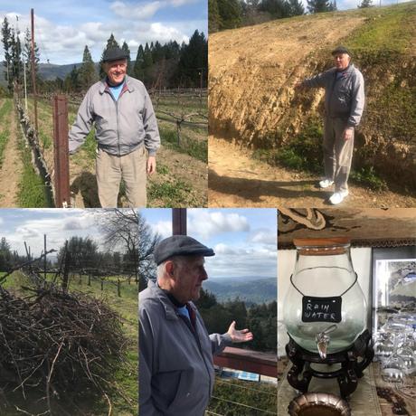 Top L to R: Jerold O'Brien, proprietor and founder of Silver Mountain Vineyards explains his organic farming practices; talking sandstone soils of the San Andreas fault; rainwater collected from his extensive rainwater collection system; views from the deck at Silver Mountain Vineyards; 2nd pruning. Images: ©L.M. Archer 