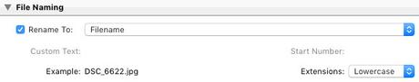 Lightroom Export Settings for Facebook-File Naming