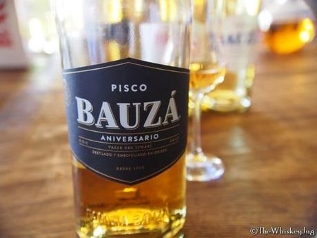 15 Chilean Pisco Facts You Need To Know Right Now - 1