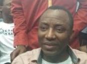 “DSS Wants Dead, They Vowed Won’t Walk Detention Alive” Sowore [Video]