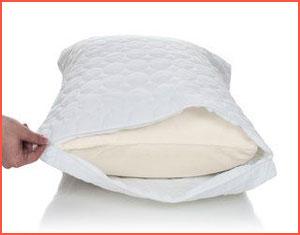Best Pillow Protector Reviews: Bed Bug, Allergy and Waterproof