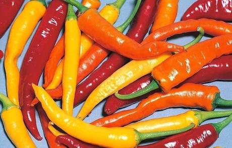 pictures of chillies images red how to grow chilli peppers