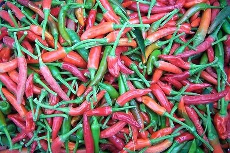 pictures of chillies images growing vegetable production heat up your cash flow with
