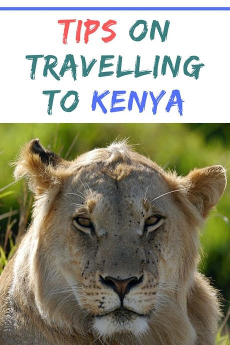 Tips On Travelling To Kenya