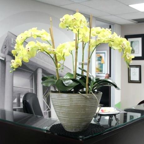 office floral arrangements reception flower corporate for offices and meeting rooms