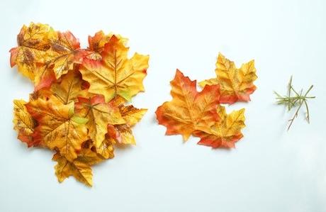 DIY AUTUMN LEAF BOWLS