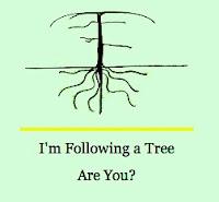Tree-following: Thinking Ahead