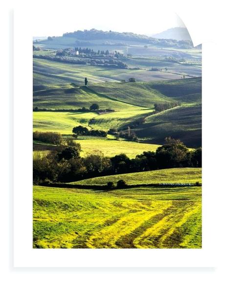 tuscan landscape pictures photography morning light over the fields of winter wheat above